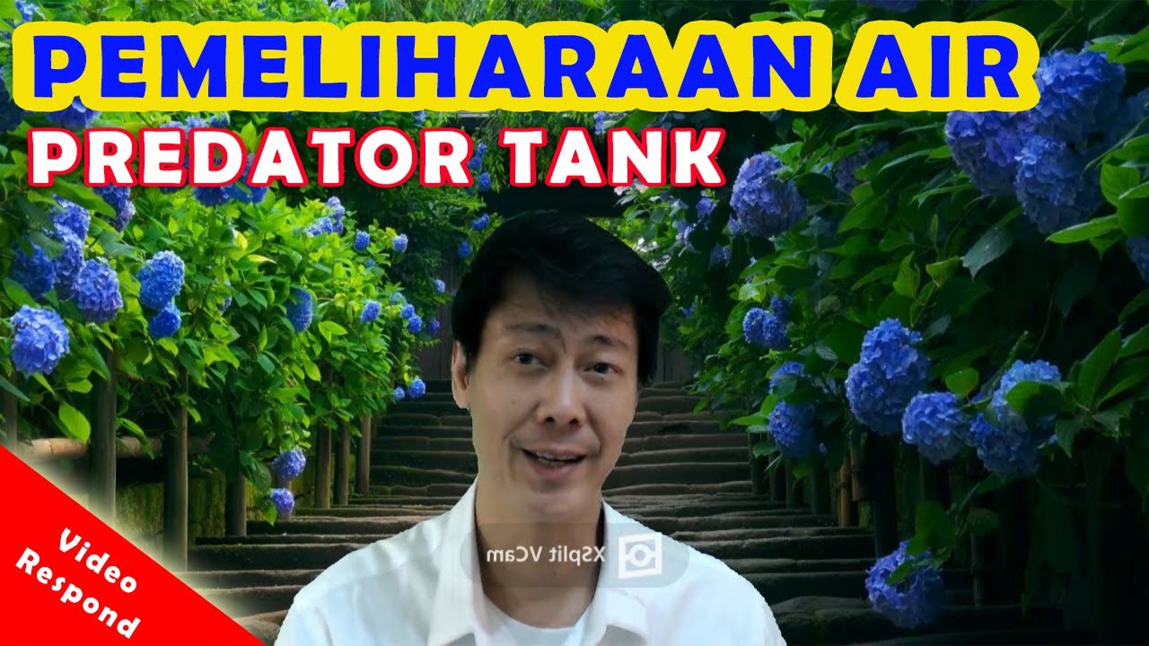 Perawatan Air (Predator Tank)