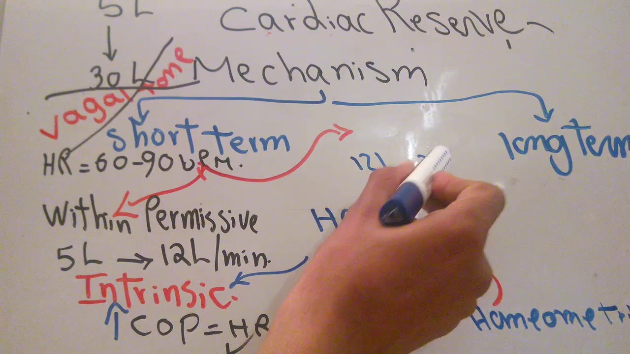 CVS new system (Cardiac reserve and Heart failure) dr mohamed fayez