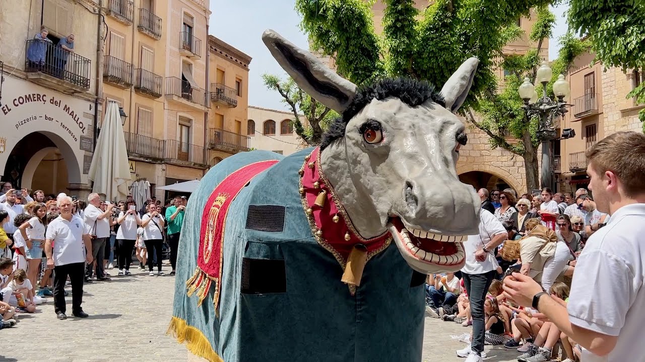 Balls de la Mulassa i Mulasseta Seguici Popular (Festes de Sant Maties Montblanc 2022)