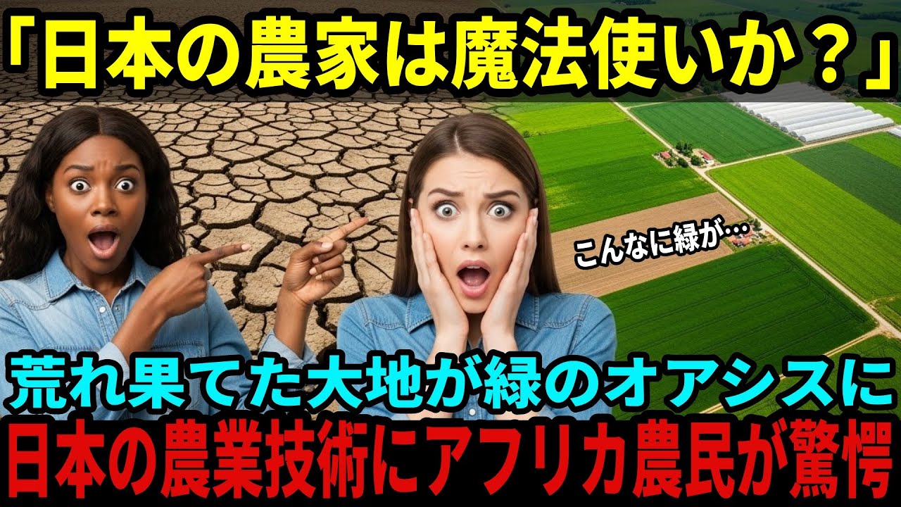 【海外の反応】「日本の農家は魔法使いか？」荒れ果てた大地を緑のオアシスに変えた日本の農業技術。アフリカの農民が涙した奇跡の栽培法