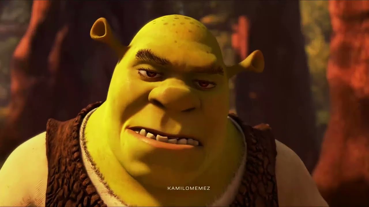 NO LO HAGAS, BURRO MALO SHREK 4K - PLANTILLA MEMES