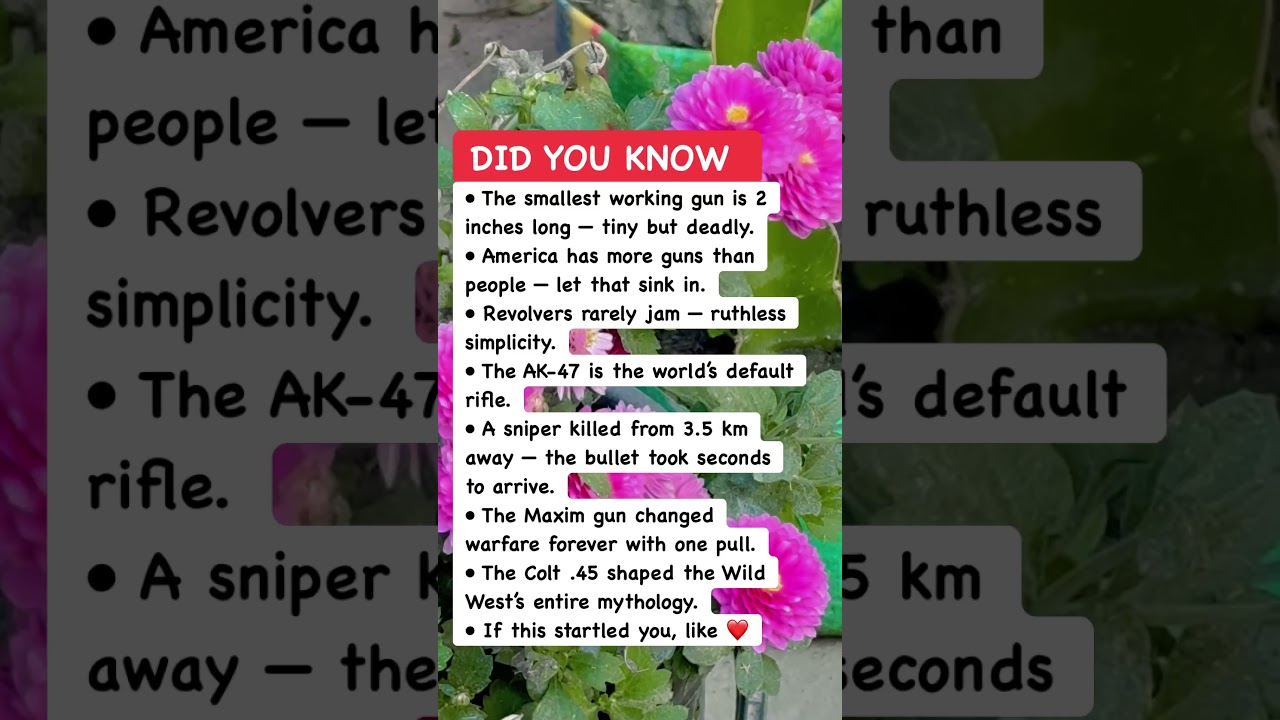 🔫 Gun Facts That Feel Too Wild To Be True 💥#GunTruth #WeaponHistory #ControversialFacts