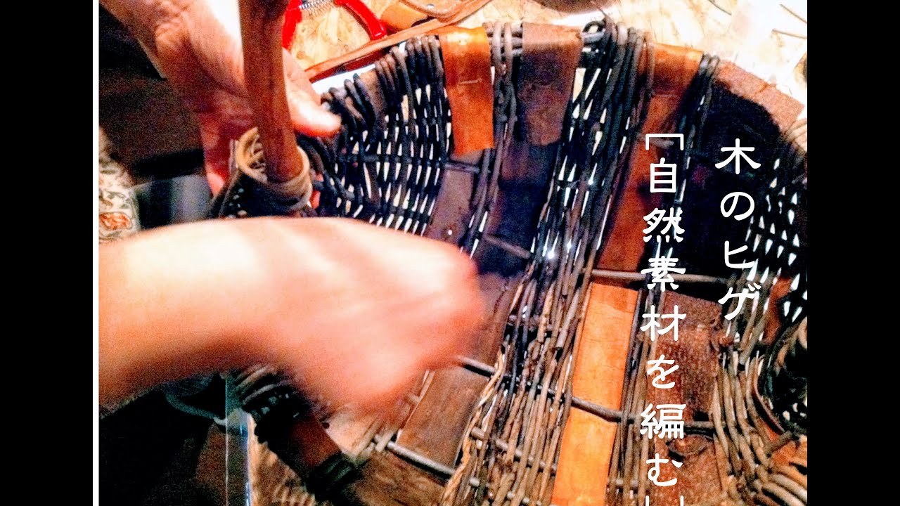 木のヒゲ[自然素材を編む]  長谷川美和子さんの紹介