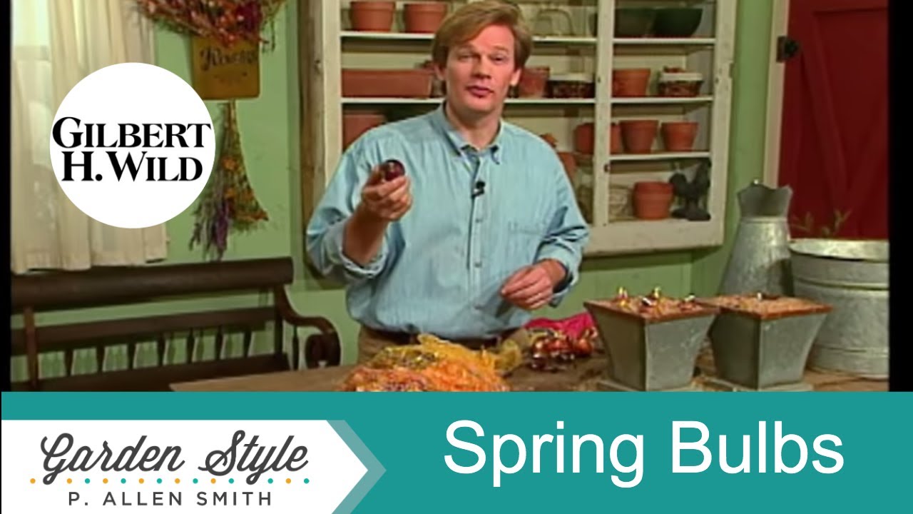 Spring Flowering Bulbs | Garden Style (416)