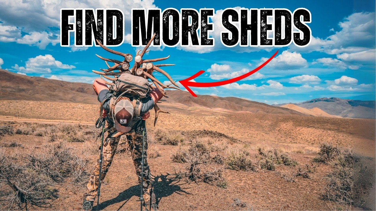 5 tips to find more DEER and ELK SHEDS!