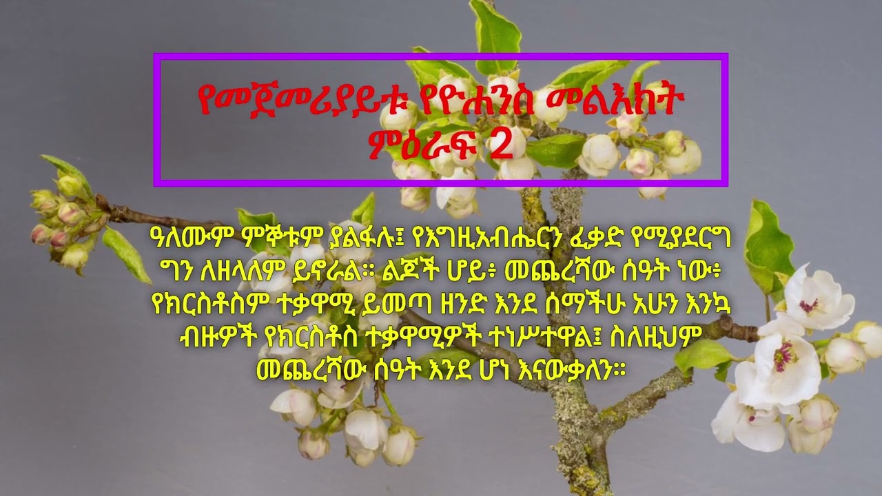 የመጽሐፍ ቅዱስ ንባብ - 1ኛ የዮሐንስ መልእክት ምዕራፍ 2 (Amharic Audio Bible - The Book of 1 John Chapter 2)