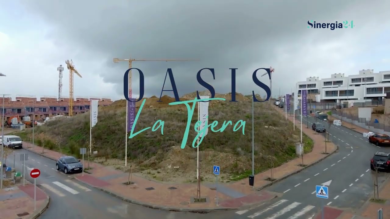 Oasis La Tejera - Sinergia24