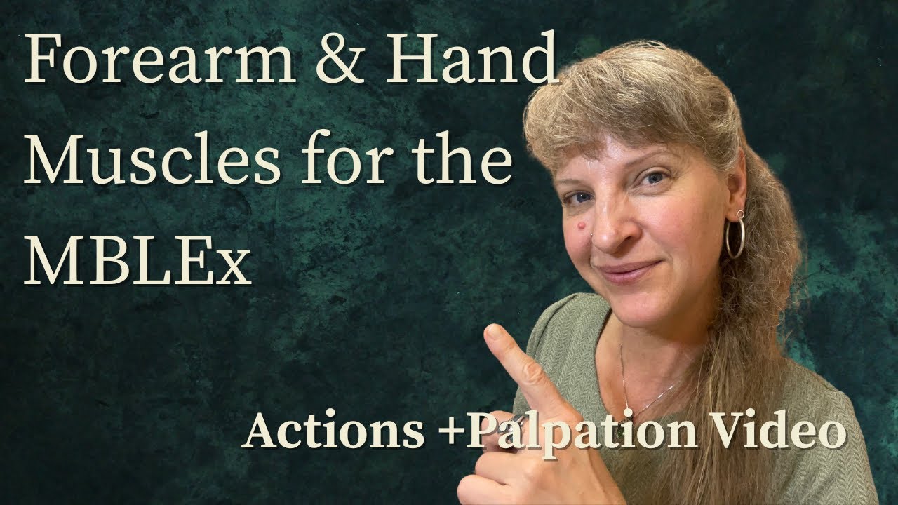 Kinesiology of the Forearm & Hand | Muscle Actions, Attachments, & Palpation Demo for MBLEx