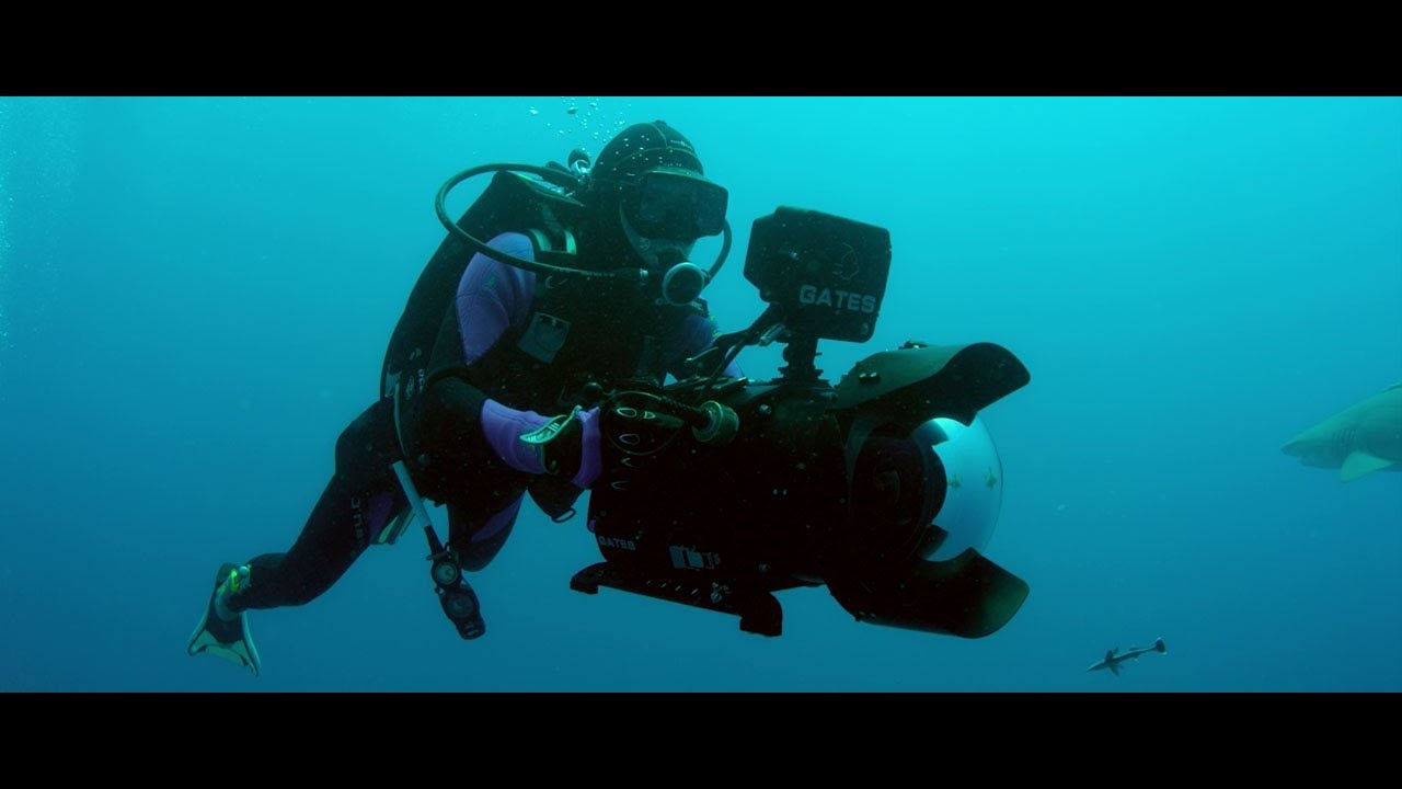 SHARKWATER EXTINCTION - Trailer #2 [HD]