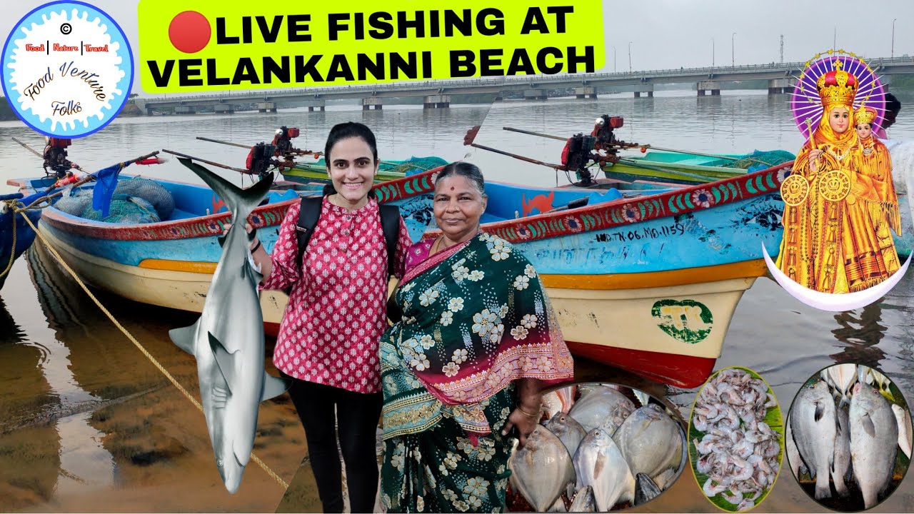 Morning  🔴 LIVE Fishing by Local Fishermen at Velankanni Beach | Velankanni Fish Market | Fish Meals