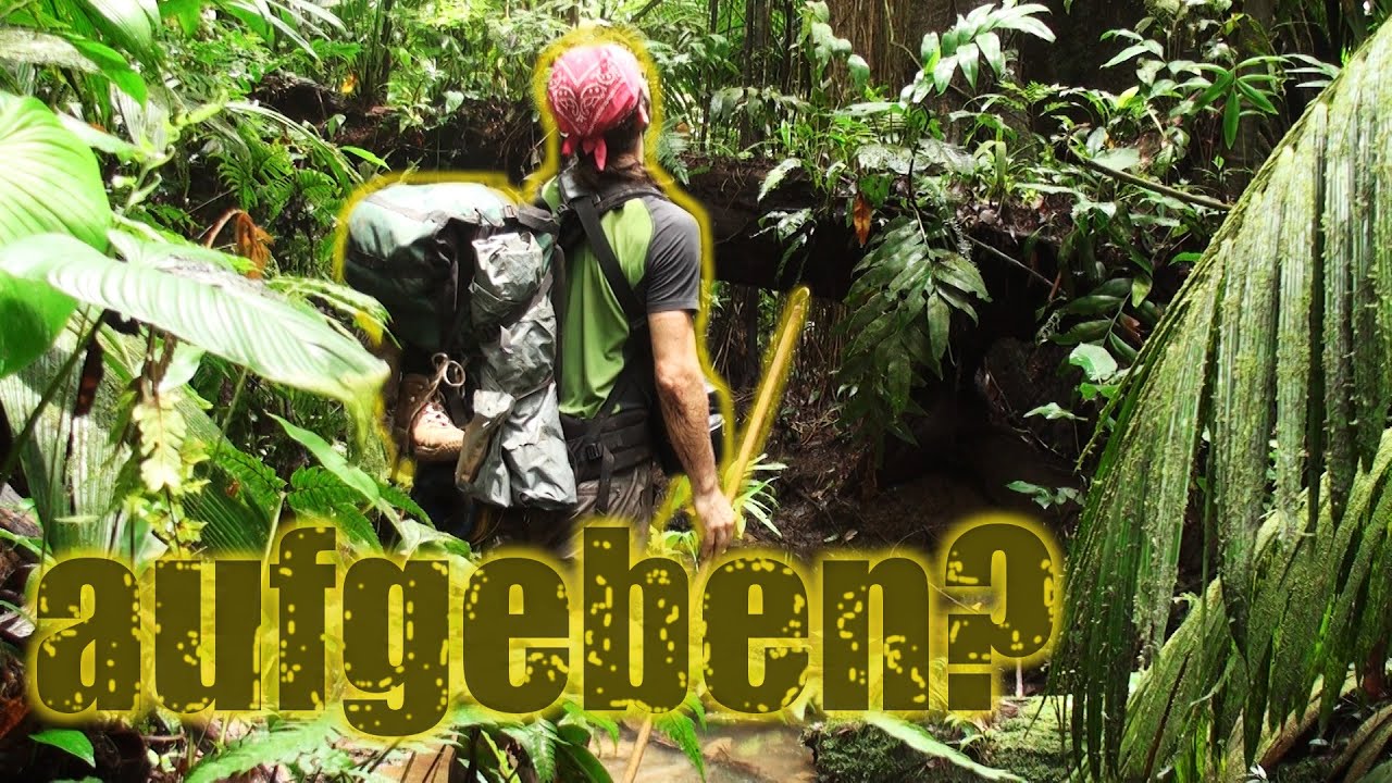 Baumklettern im tropischen Regenwald - so aufreibend ist es wirklich, 2