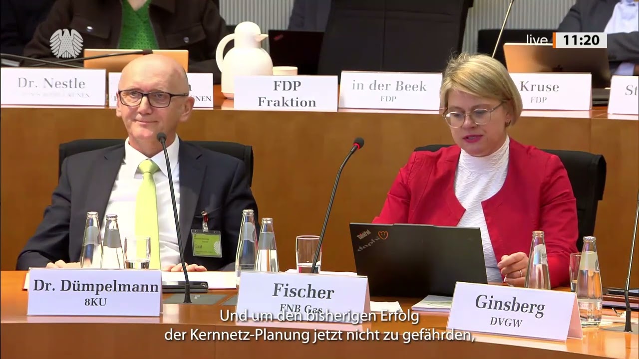 Anh&ouml;rung des Bundestags zum Gesetzentwurf der Bundesregierung zur &Auml;nderung des EnWG (Auszug)
