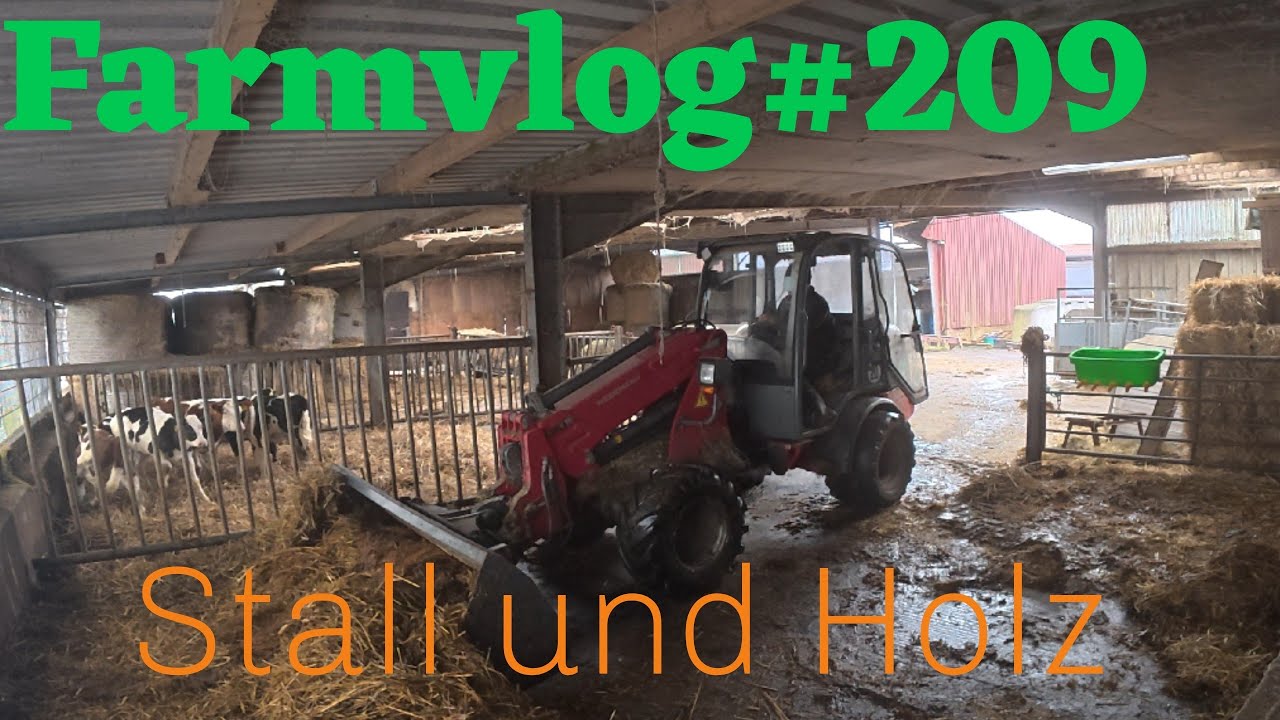 Farmvlog#209 Stall und Holz 