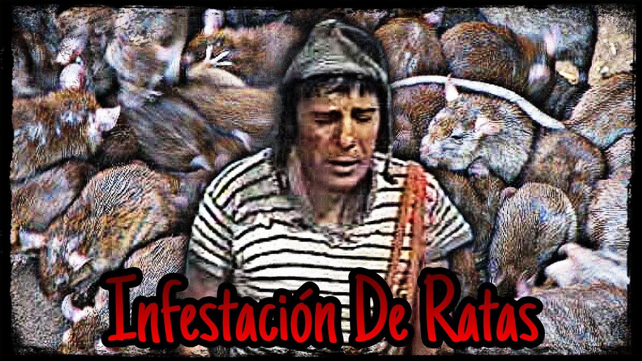 Infestacion de Ratas | Creepypasta El chavo del 8