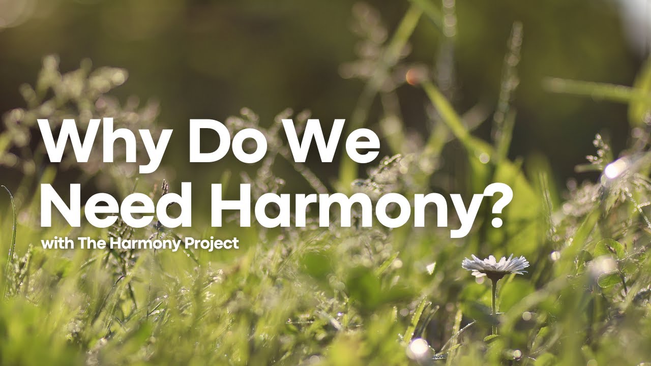 Why Do We Need Harmony? | With Richard Dunne | The Harmony Project