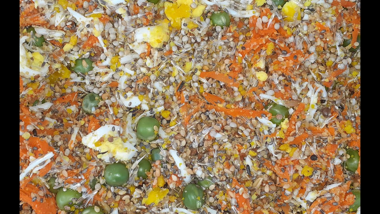 الخلطة السحرية الطبيعية  لمرحلة غيار الريش