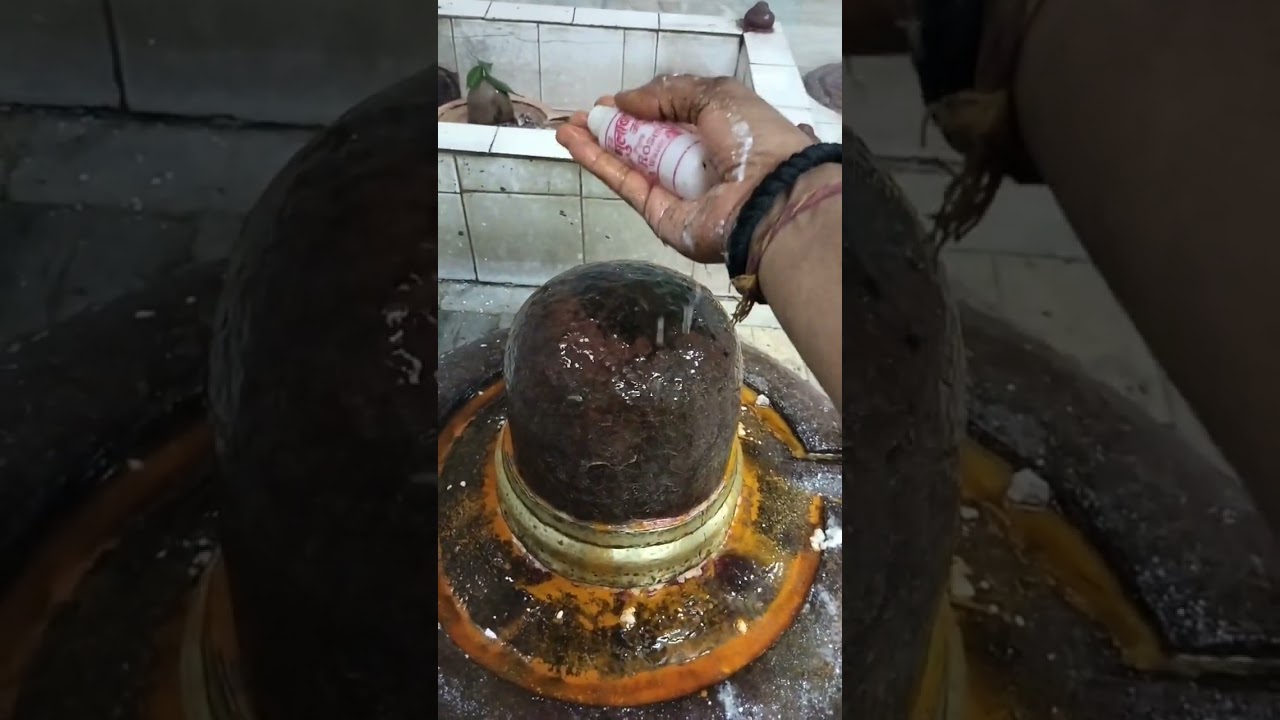श्री विद्येश्वर महादेव जी का अभिषेक श्रृंगार दर्शन @Rudrabhishekam@Kashikhand-s9