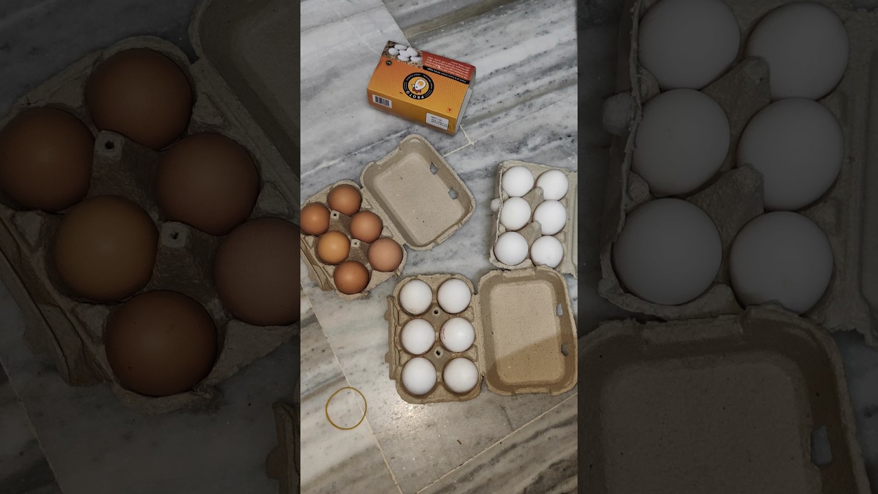 Egg hi Eggs Desi bhi | High Protein #shorts #shortvideo #shortsfeed #food #egg  #challenge #blinkit