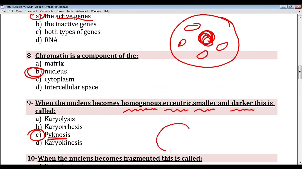 nucleus mcq