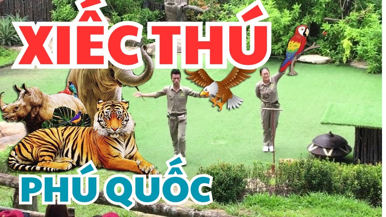 BIỂU DIỄN THÚ VINPEARL SAFARI PHÚ QUỐC. #tranvanchanh #quehuong #mienque #nongthon
