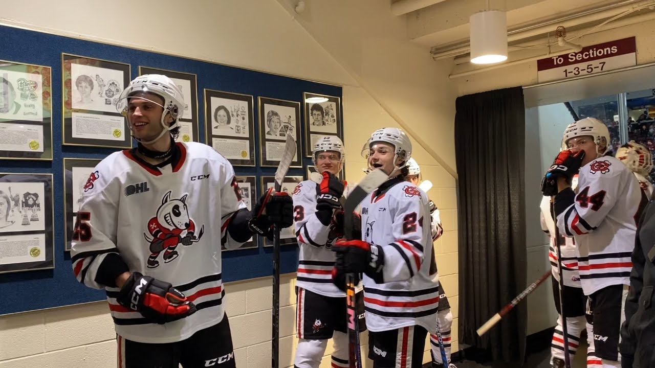 Niagara IceDogs подверглись нападкам со стороны фанатов