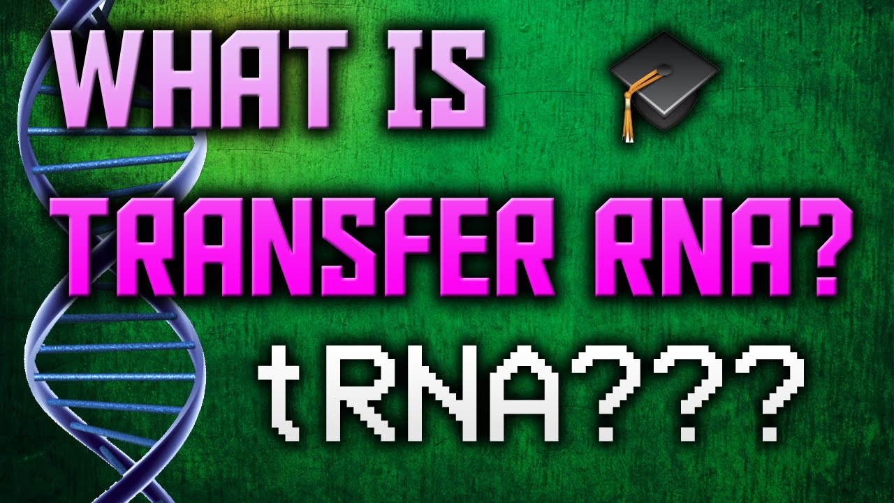 What is tRNA???