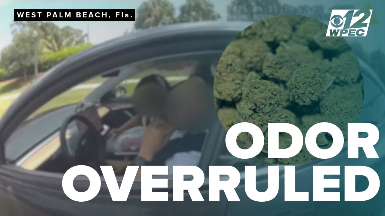 Smell of weed no longer enough for car searches? Florida&rsquo;s high court to decide