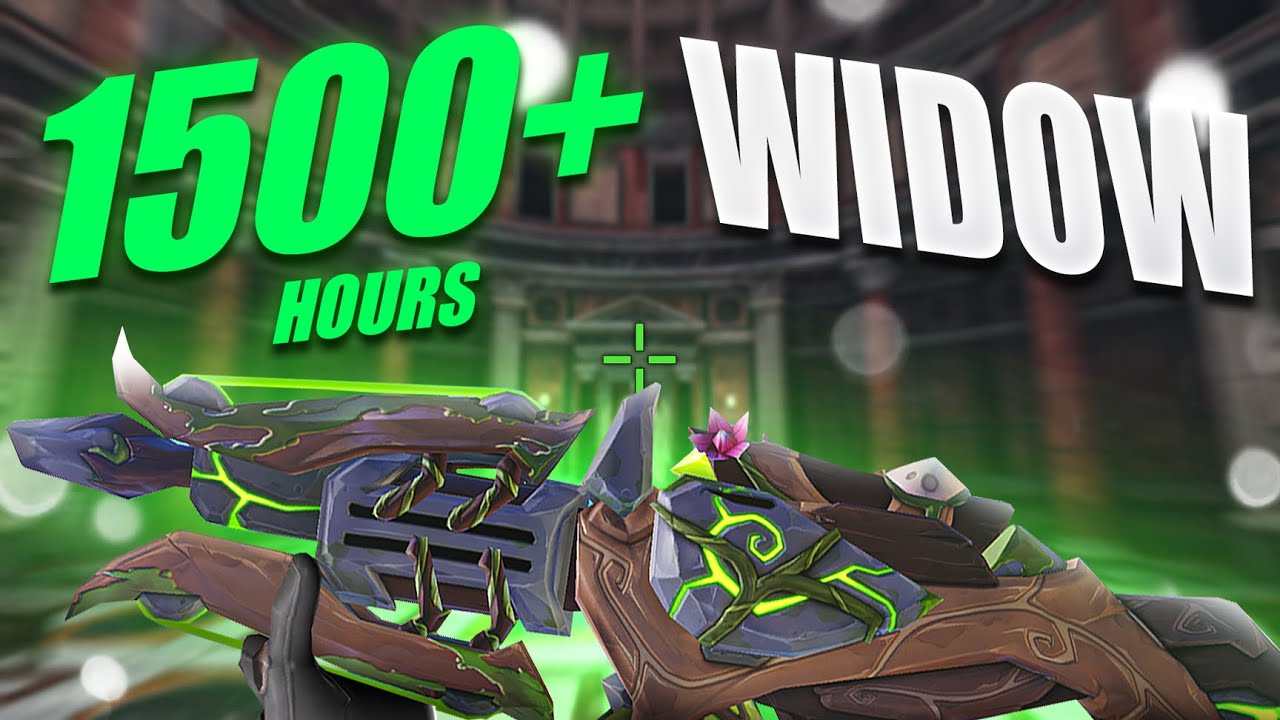 This is what a 1500+ hours Widowmaker trying the NERF looks like in Overwatch
