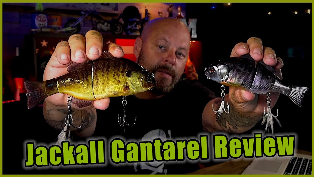 Jackall Gantarel Swimbait - Should You Buy?