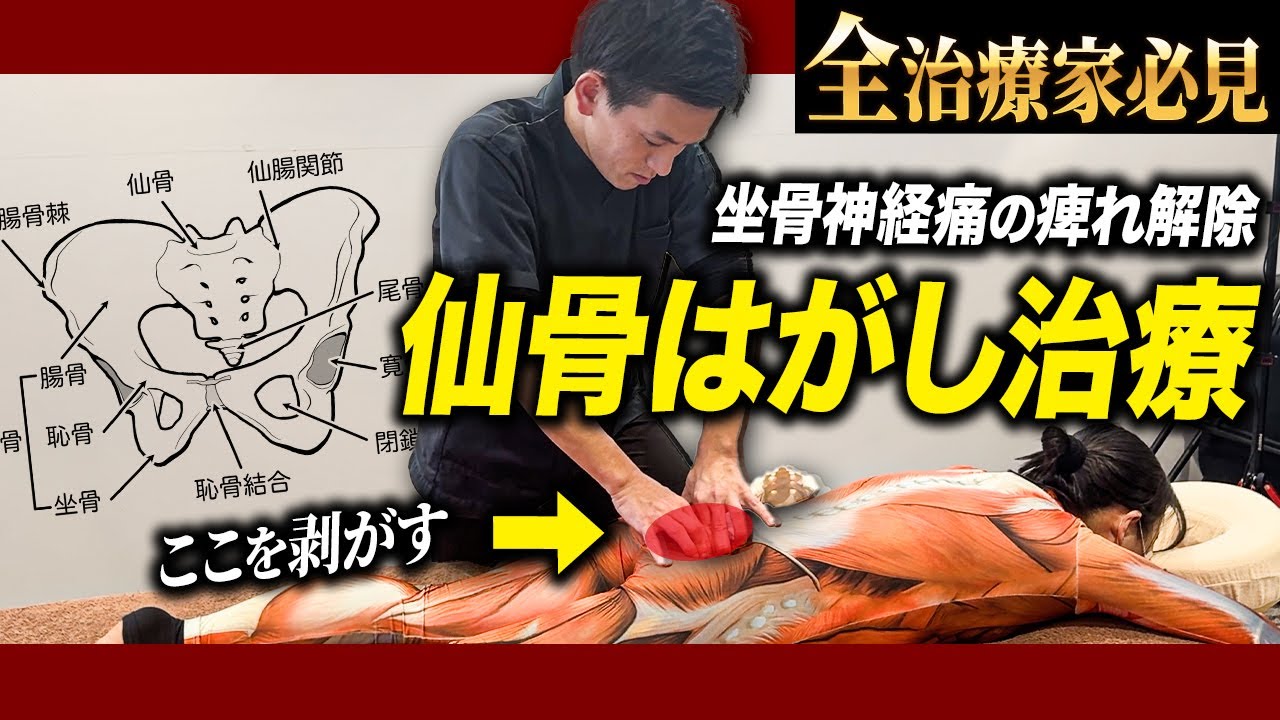 【※有料級※】坐骨神経の滑走を出す！仙腸関節の解剖学に沿った治療テクニックを伝授します！