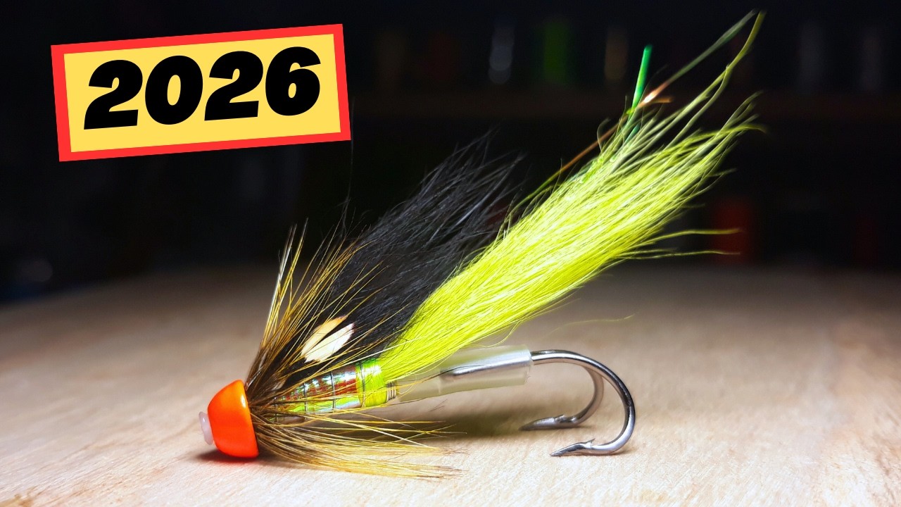 This Is The MUST HAVE Fly for 2026!