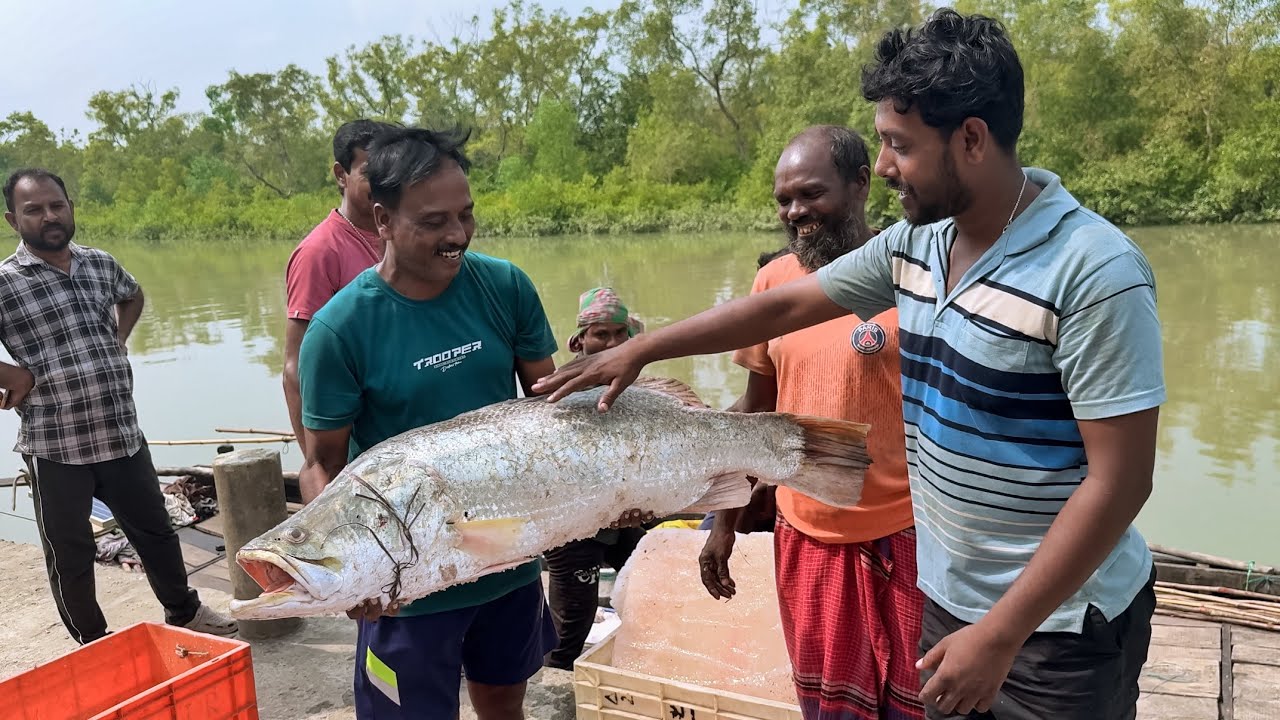 হঠাৎ করে বিদ্যা নদীতে কালবৈশাখীর মাঝে পড়ে,প্রতি বড়শীতে মাছ তুললাম!!!part-1