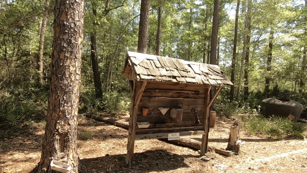 Okefenokee Train Ride