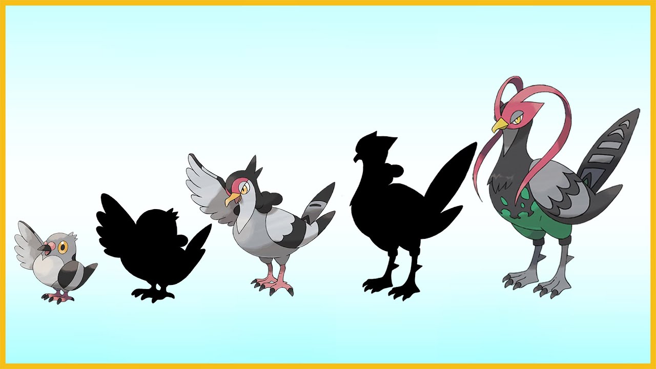 What if Pokemon had more Evolution Stages? Pidove | Tranquill | Unfezant