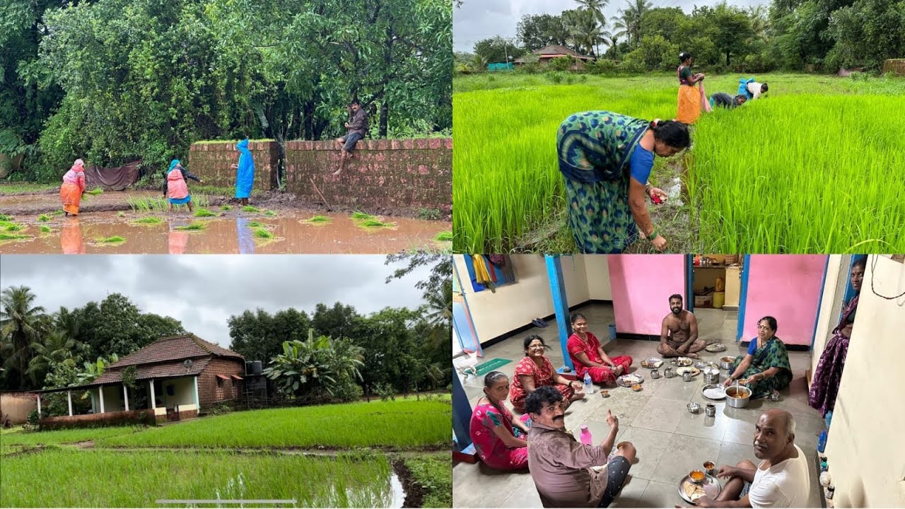 पप्पांनी केला चमत्कार 😲 मामीच्या हातचा चिकन सुखा आणि रस्सा।मामाच्या घरची भातशेती🥰🥰