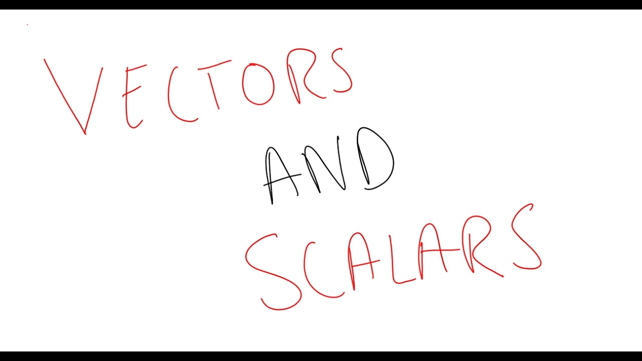 Vectors and scalars | Physics | Episode 3