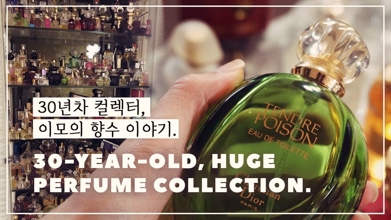 EN) 30년차 향수 매니아 이모의 컬렉션. 향수 추천까지 HUGE PERFUME COLLECTION | VINTAGE, NICHE, FAVES