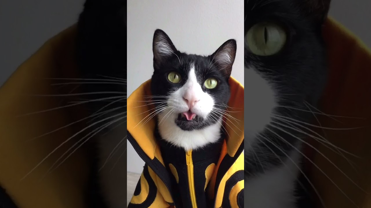 Naruto modo Kyubi