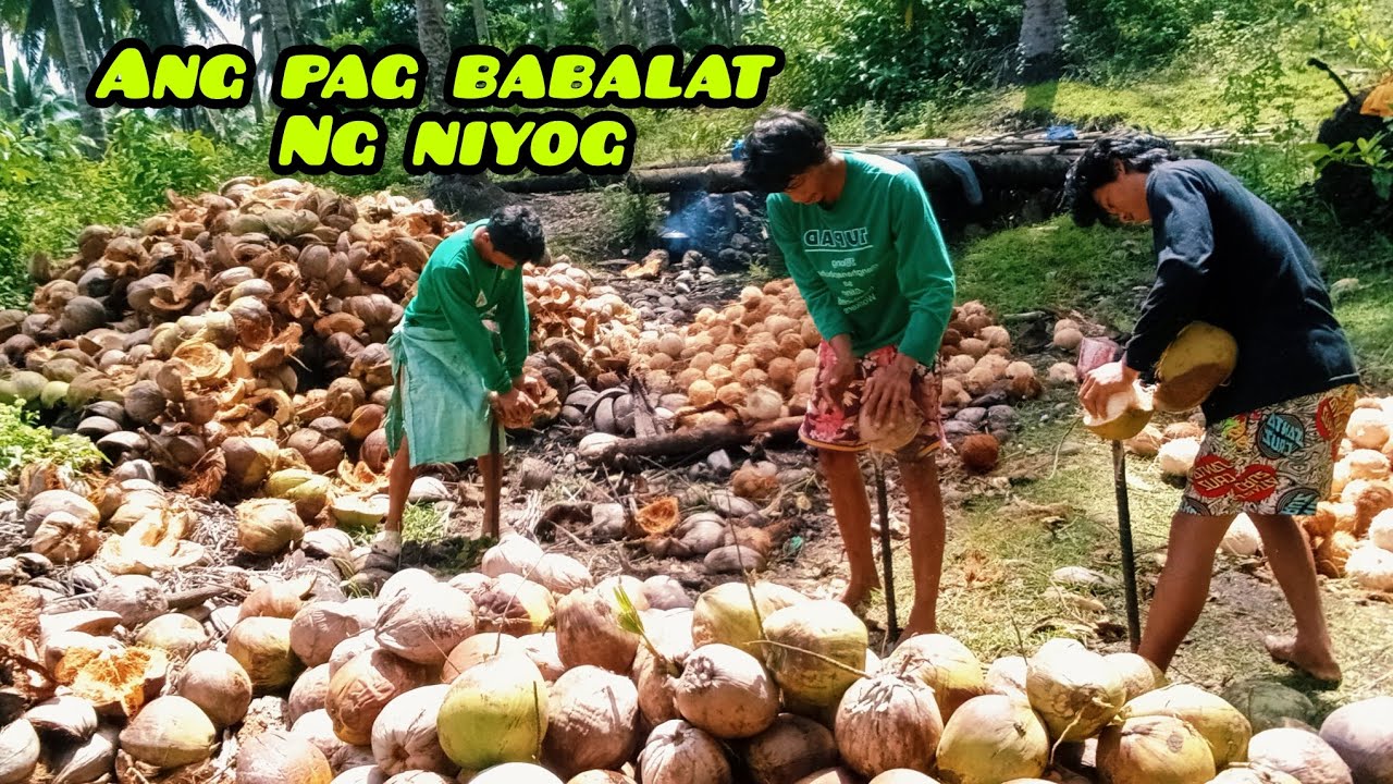 NAG BALAT NA KAMI NG NIYOG NA AMING KINUKUPRAS 🌴🌴🌴🌴