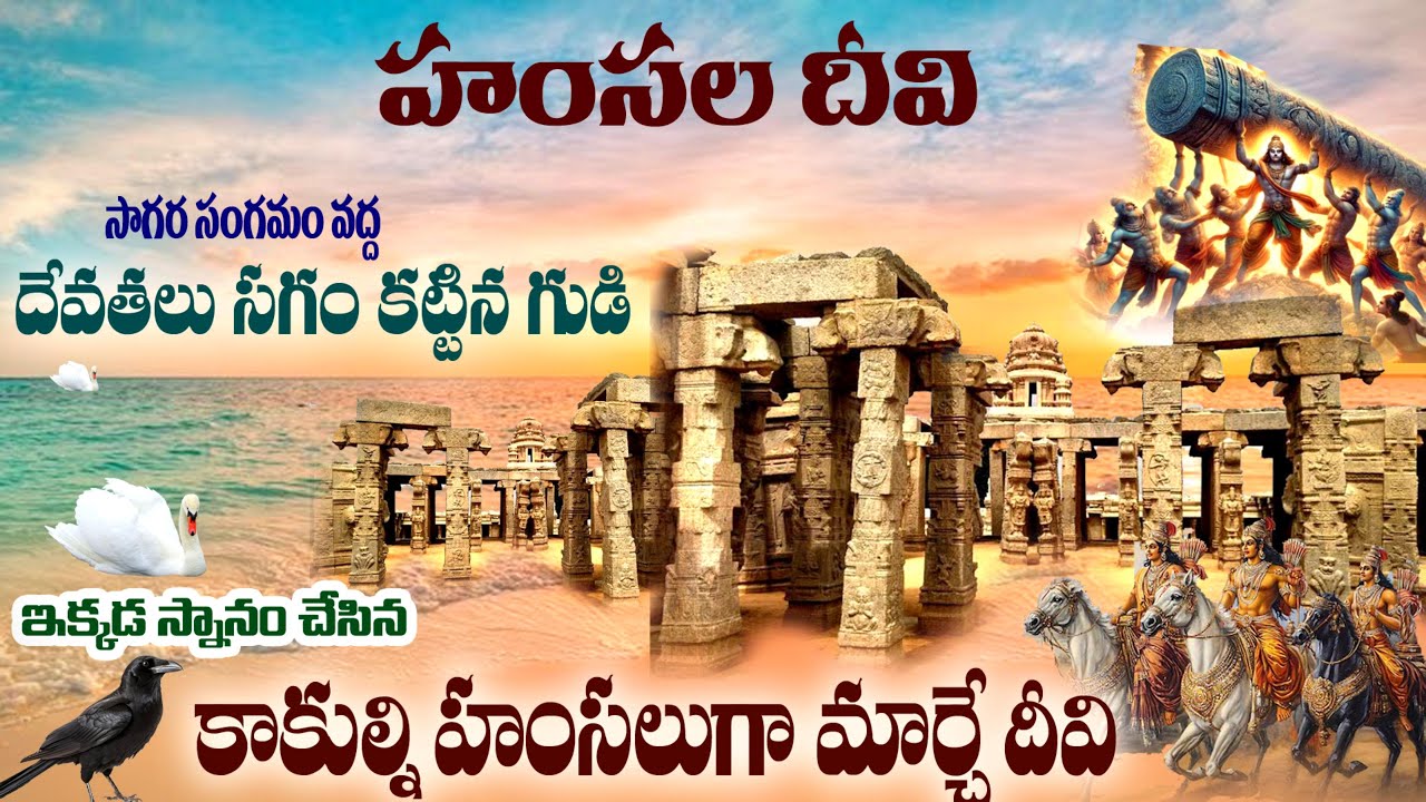 Hamsaladeevi sagarasangamam | హంసలదీవిలో నిజంగా ఇప్పటికీ హంసలు వున్నాయా? Hamsaladeevi Temple. swan