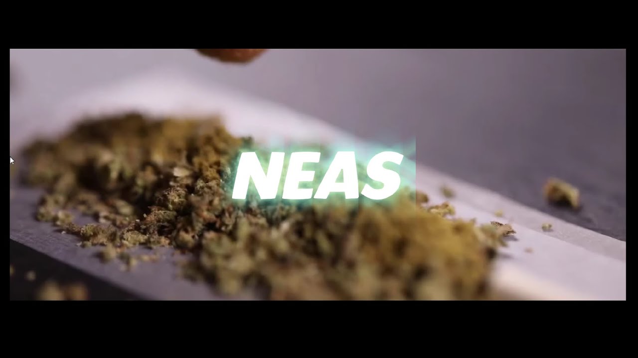 Neas - Kieef ( Kromonopoly ) Visualizer