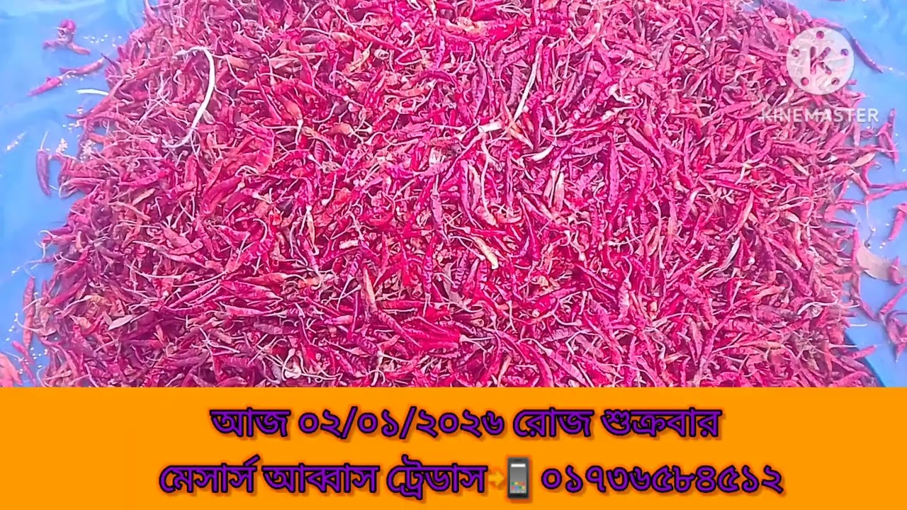 আজ ০২/০১/২০২৬ শুকনো মরিচের দাম 