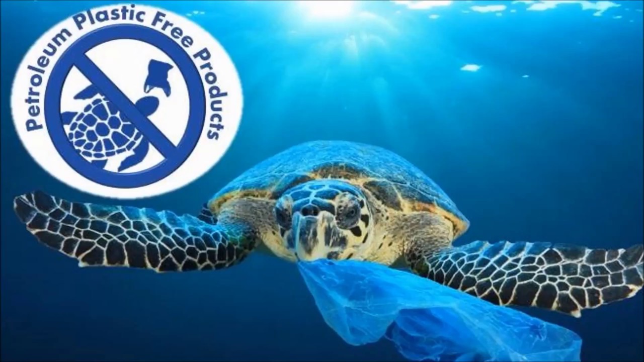 Plastic Pollution Solution