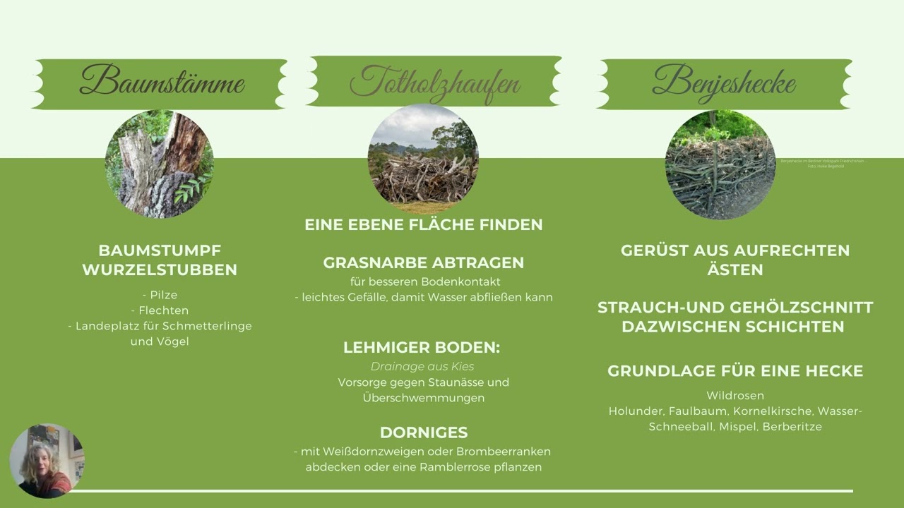 Totholz | Biotope im Naturgarten | Mini-Serie Teil V | NABU Umweltbildungsstätte Rolfscher Hof