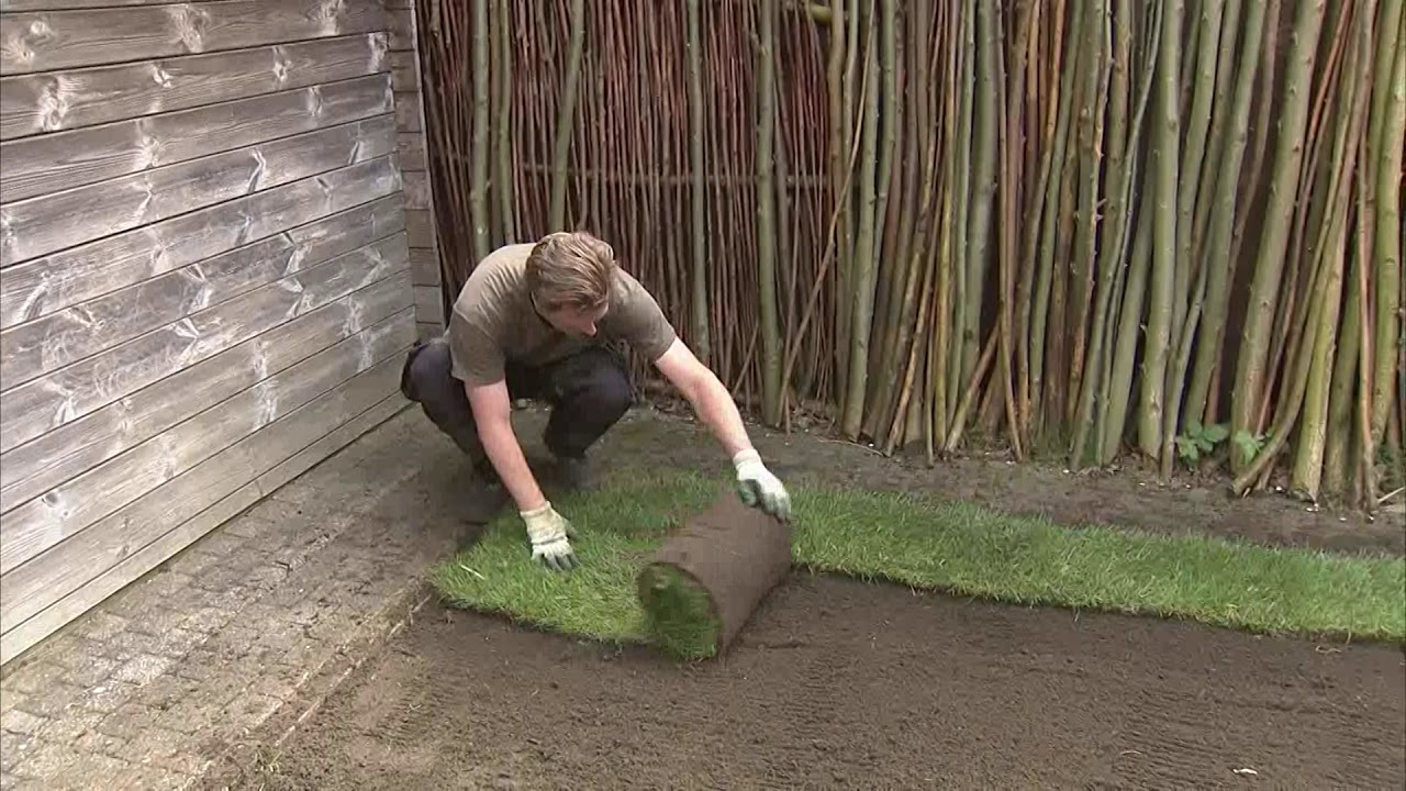 Gazon aanleggen op zanderige bodem ... mét Vlaco-compost als secret ingredient.
