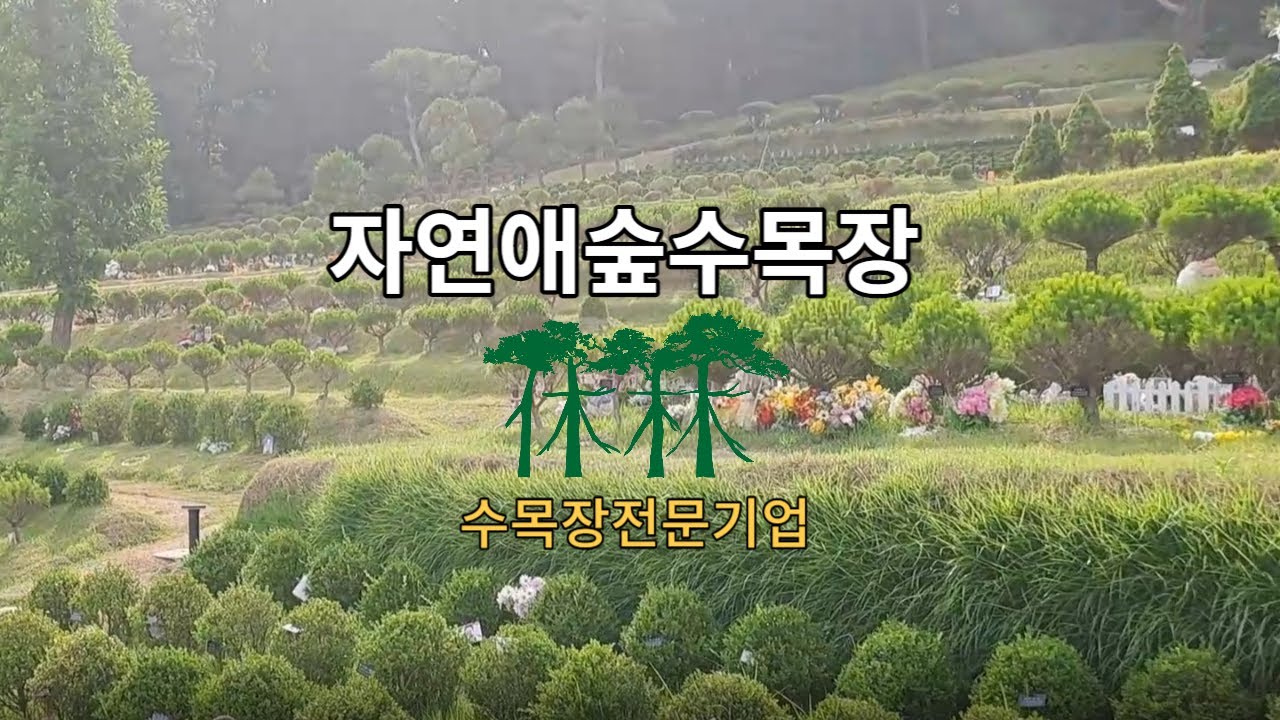 수목장 대신 가드립니다. 자연愛숲수목장 한바퀴 걸어보기
