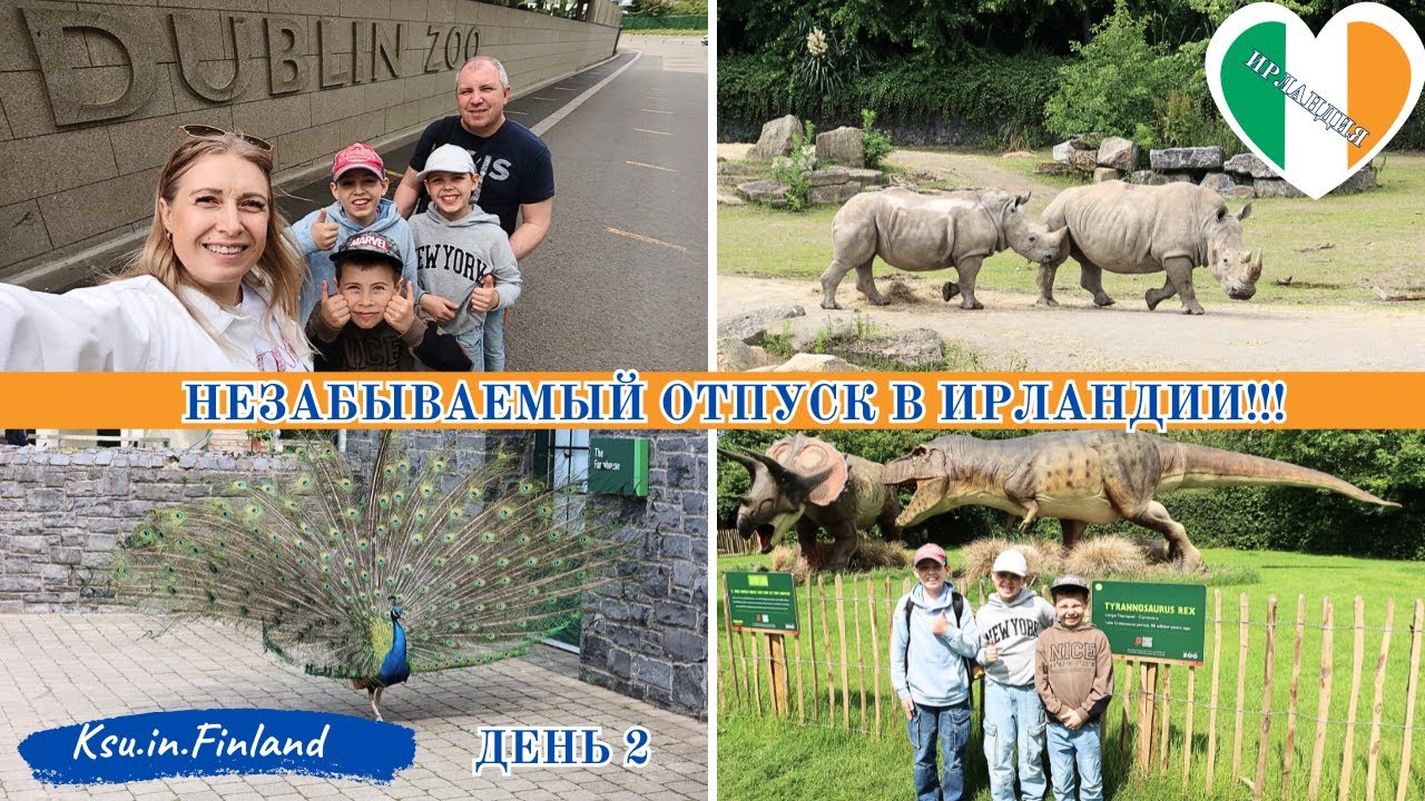 ИРЛАНДИЯ / ДЕНЬ 2 / ДУБЛИНСКИЙ ЗООПАРК / ТАНЕЦ ПАВЛИНА / ДИНОЗАВРЫ!!!