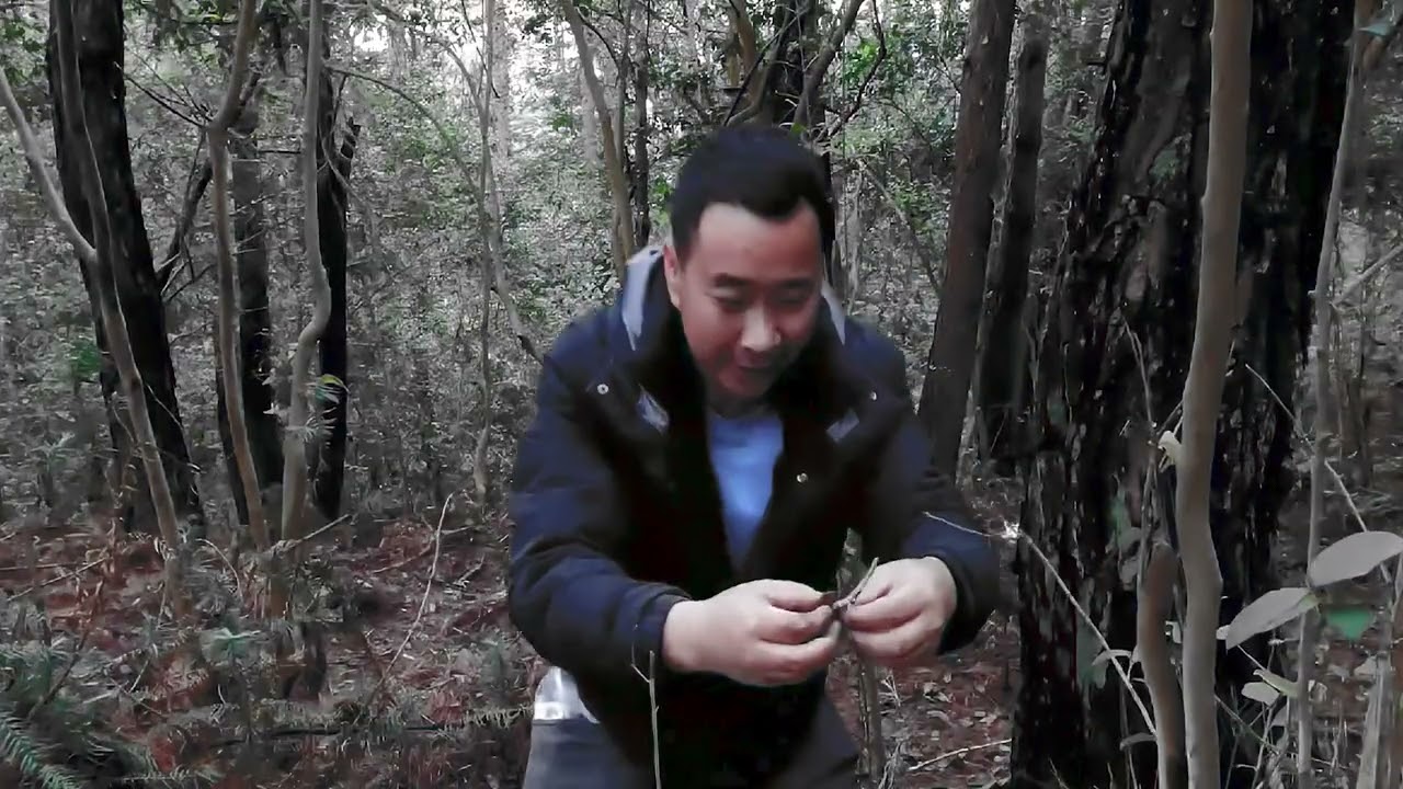 玉平带着装备找冬虫夏草、兄弟直呼比找婆娘还难！朋友们说是吗 #采药 #我的乡野山居生活 #山货