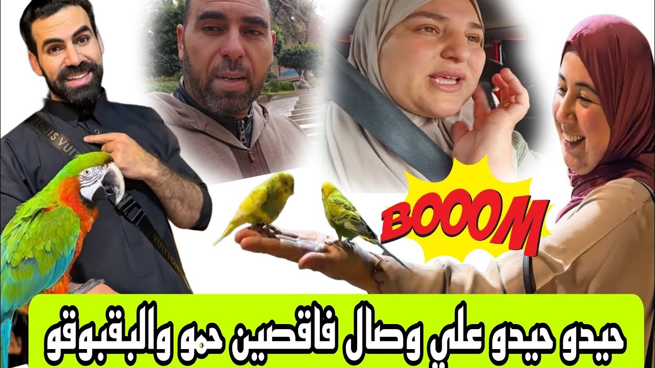وصال صدمات البقبوقه وخلاتها تالفة ما عرفت راسها من رجليها ما عرفت واش تبكي 😭ولا تضحك 🤣
