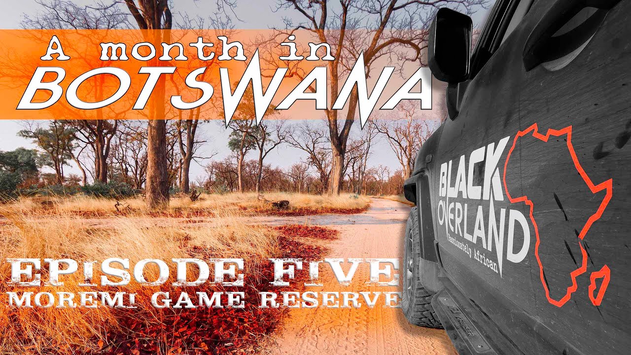 A month in Botswana | Episode Five | Moremi Game Reserve